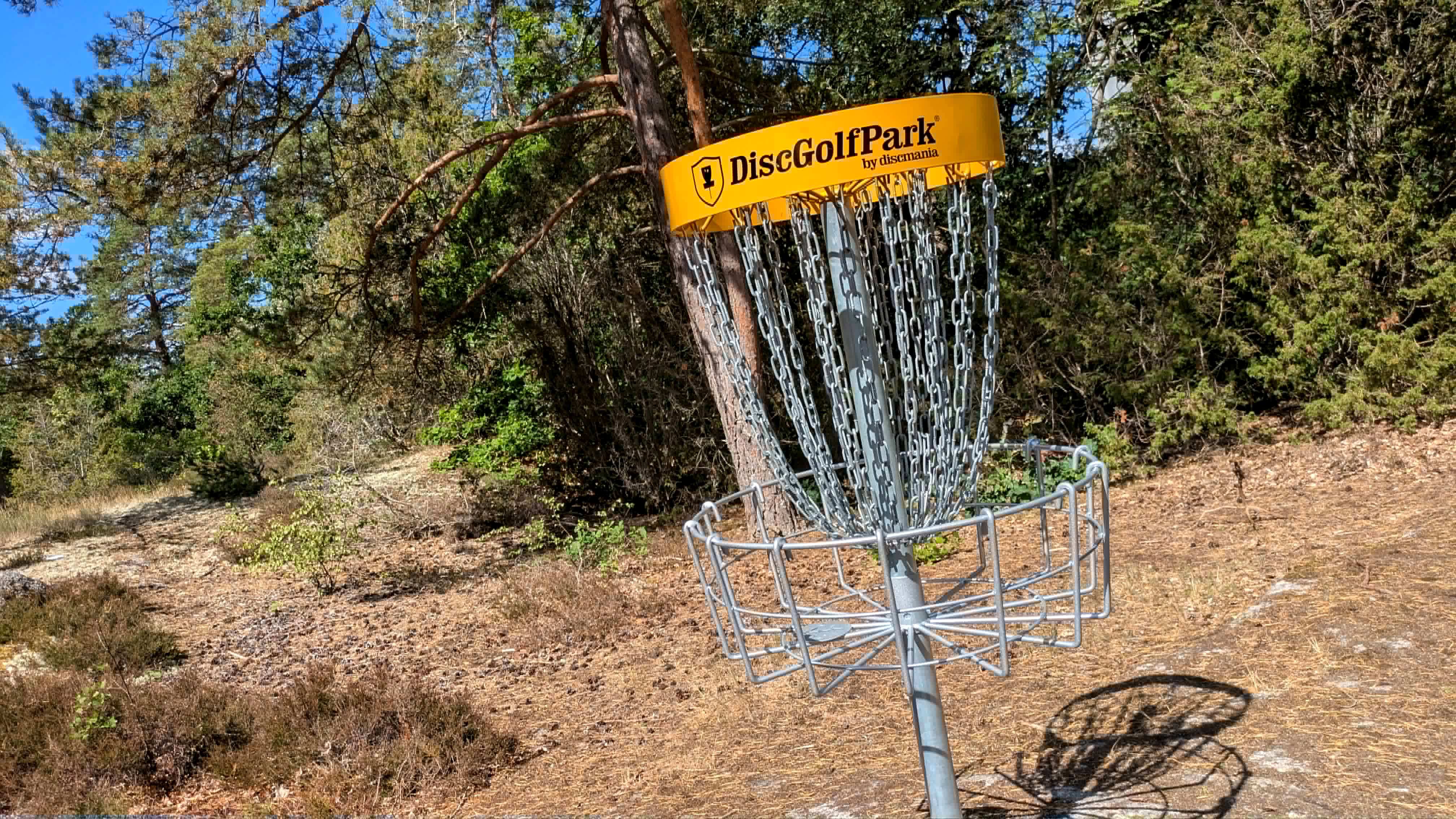 Ny discgolfkorg i närbild.