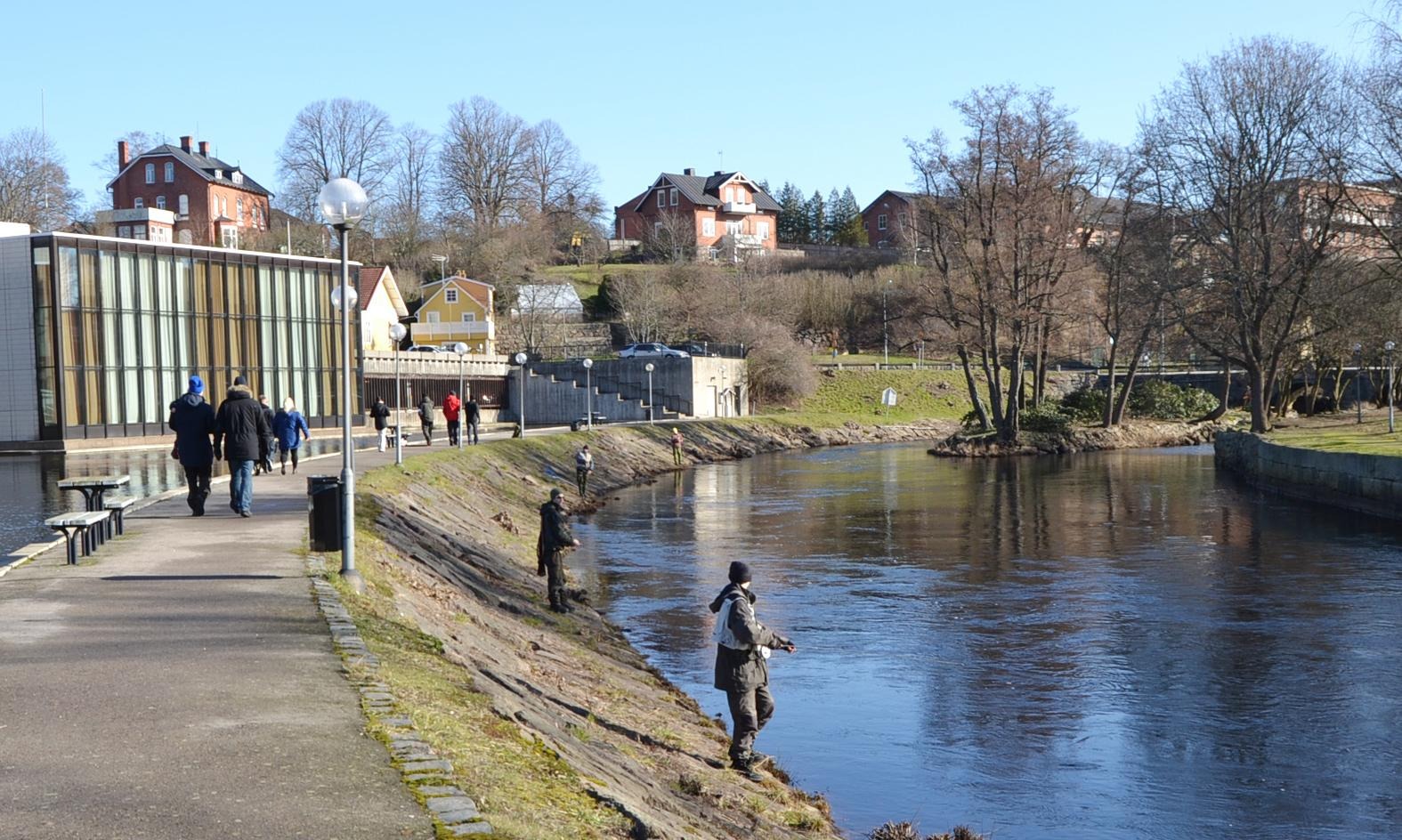 Ronnebyån fiske