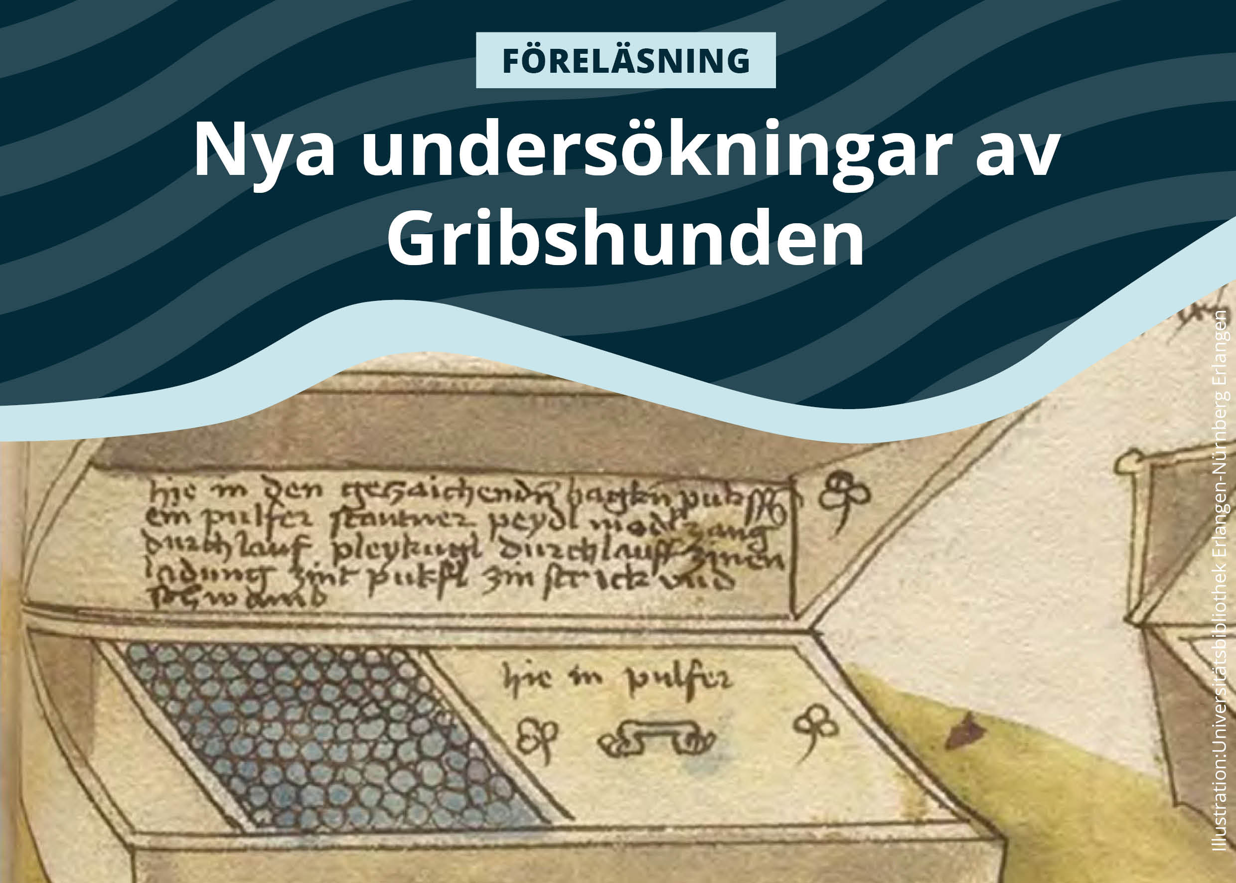 Dykningar Gribshunden