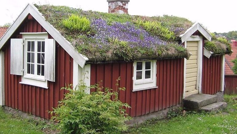 Gammal ryggåsstuga. Foto.