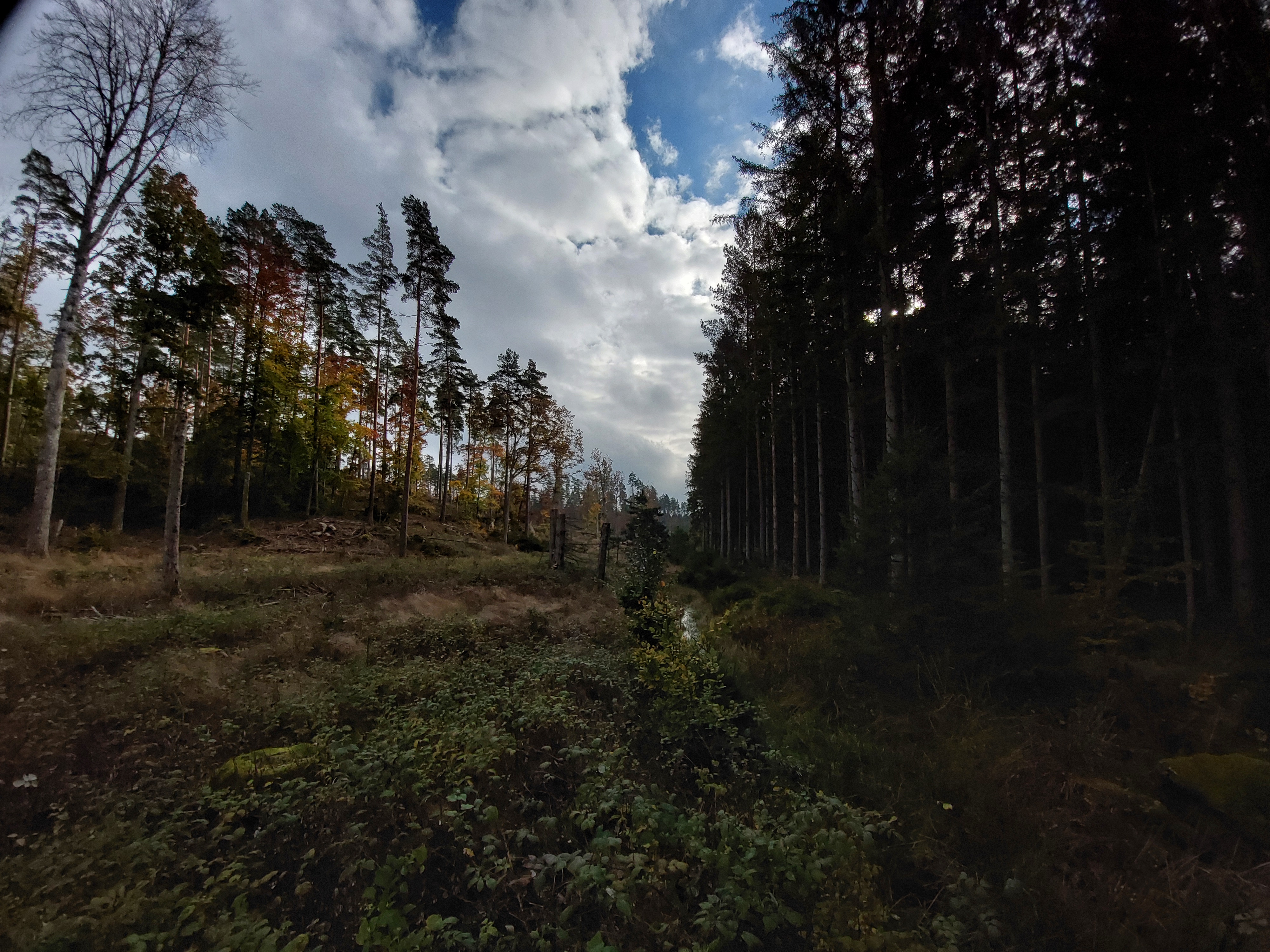 Fösingsmåla - del 1 