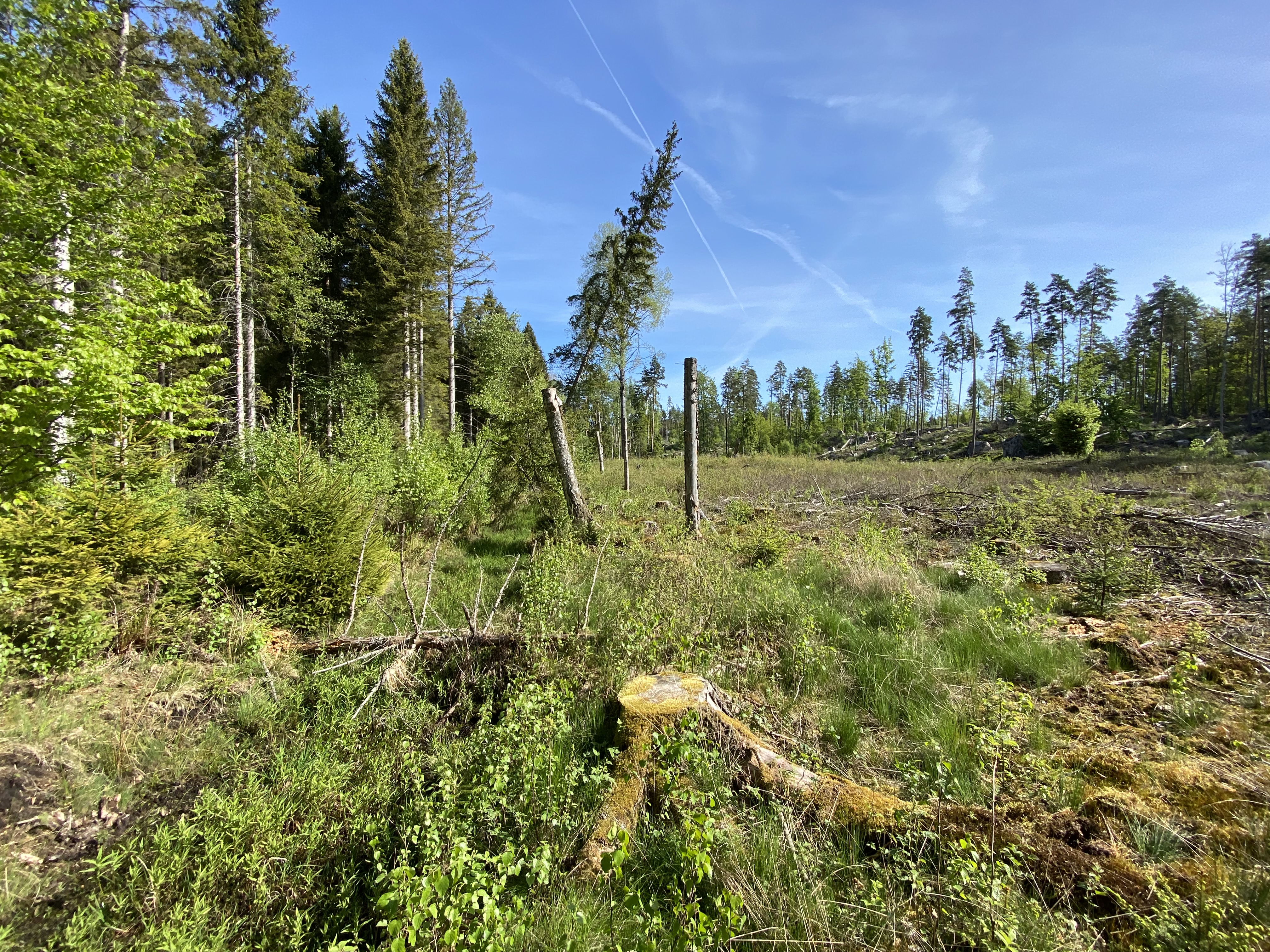 Blekinge Arkipelag Fösingsmpla