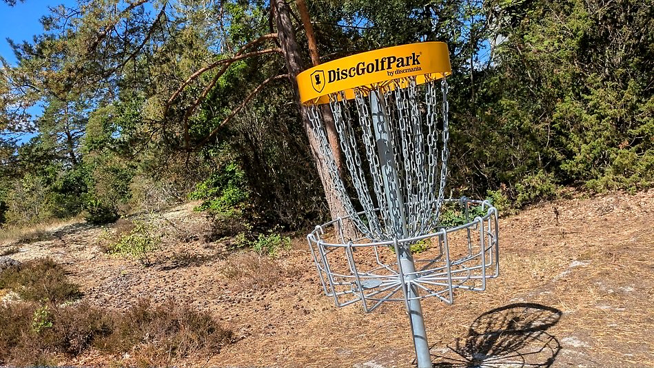 Ny discgolfkorg i närbild.