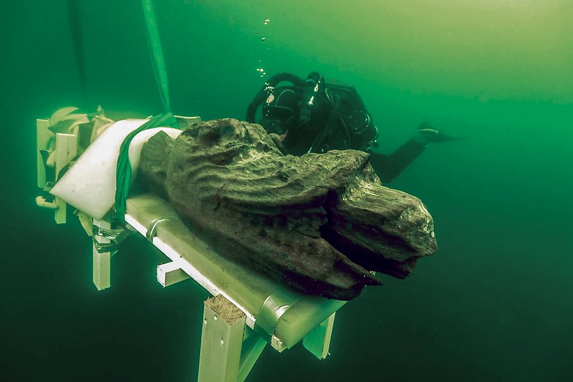 Gribshundens stävfigur bärgas av dykare.