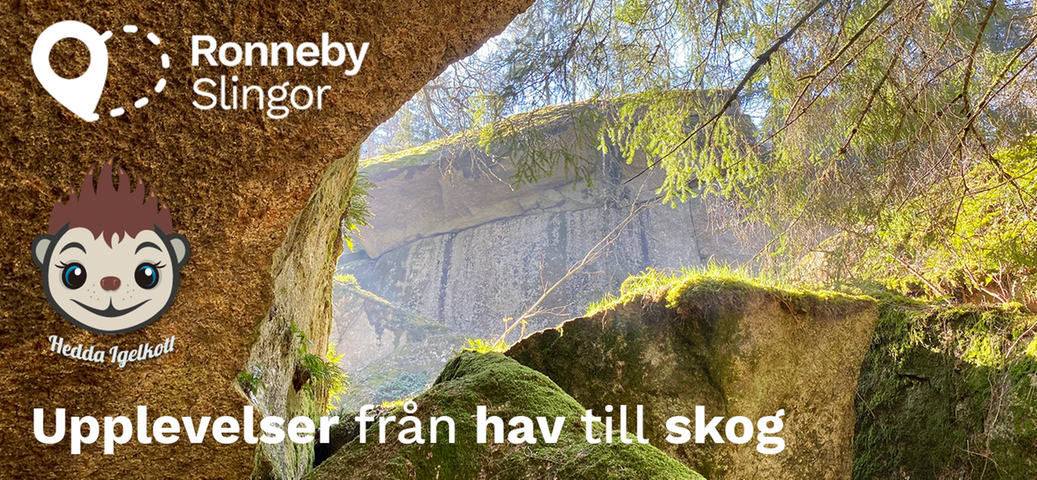 Bild tagen inifrån en grotta i Anglestue, en del av RonnebySlingor, ut mot skogen bortanför sten öppningen. Hedda igelkott finns med på ett hörn.