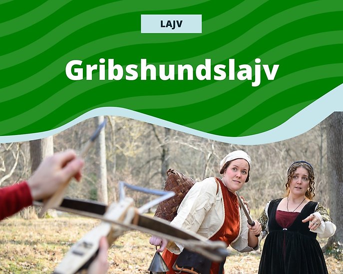 Medeltidsklädda människor