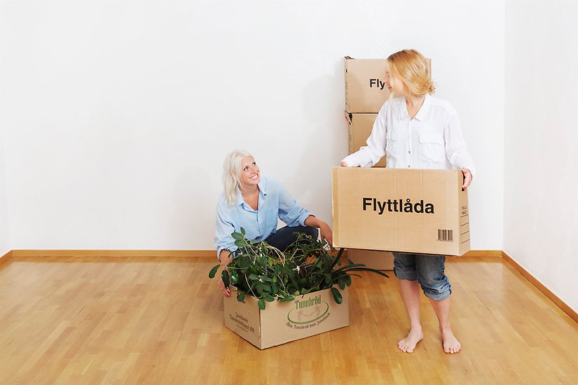 flytta in