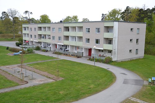 hjorten