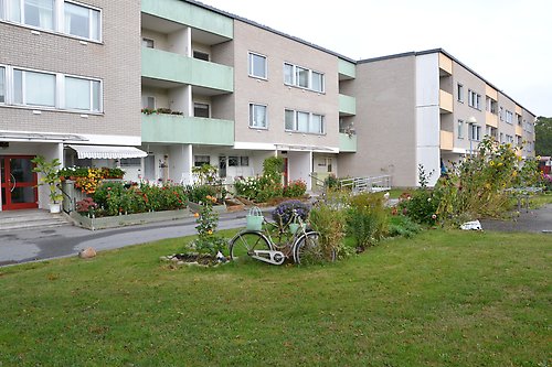 hjorten