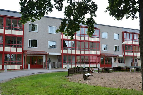 hjorten